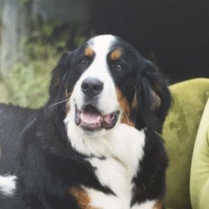 Meet your Posher, Kendal